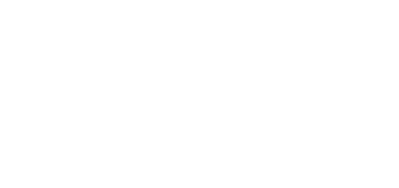 Norlyn Travel